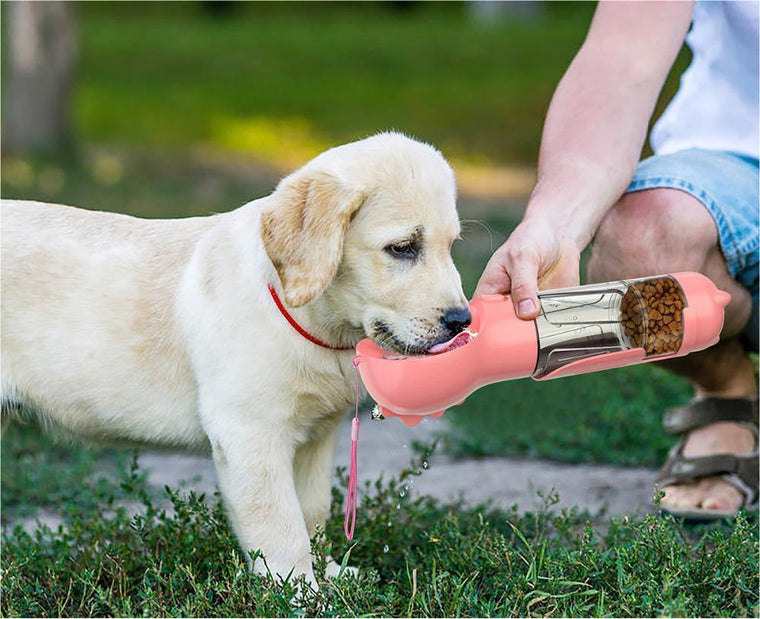 Outdoor pet water bottle feeder