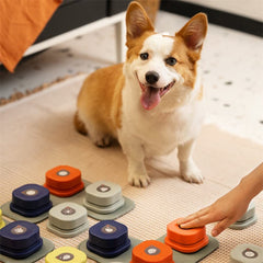 4 Colors Pet Communication Talking Button Toy
