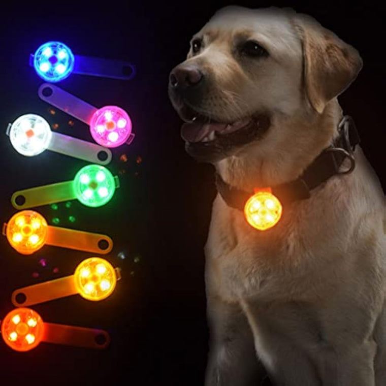 Pet Glow Pendant Light