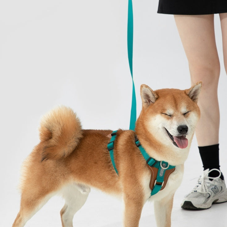 Dog Rope Leash Chest Strap