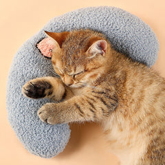 Dog Cat Sleeping  Plush Pillow