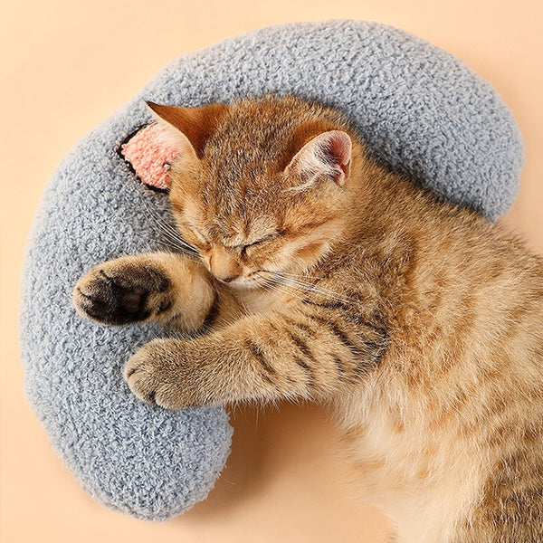 Dog Cat Sleeping  Plush Pillow