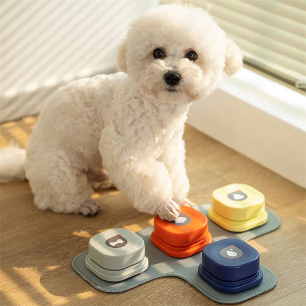 4 Colors Pet Communication Talking Button Toy