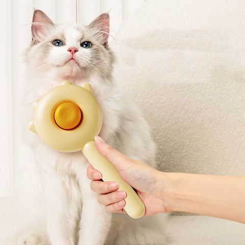 Cat Comb Massage And Dog Brush