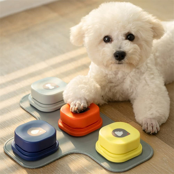 4 Colors Pet Communication Talking Button Toy