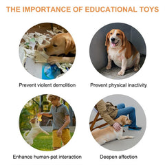 4 Colors Pet Communication Talking Button Toy